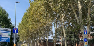 Cotignola: modificata la viabilità in via Pascoli