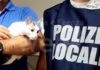 Rifiuta di restituire il gatto ai legittimi proprietari, interviene la Polizia locale