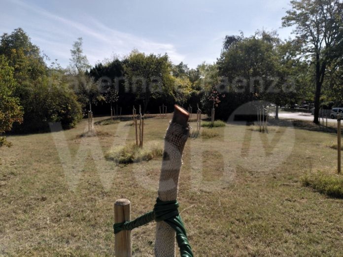 386188609_302920519190722_7830421690229597128_n