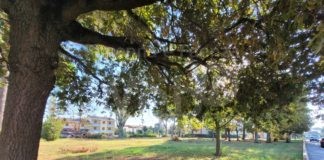 Alfonsine: al via il percorso partecipato per la rigenerazione dell’area Samaritani