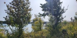 Domani la prima passeggiata di ViVi il Verde nell’area delle Buche Gattelli