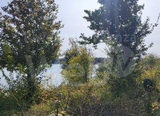 Domani la prima passeggiata di ViVi il Verde nell’area delle Buche Gattelli