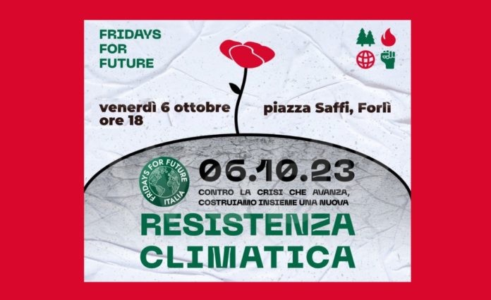 IMG_20231006_091012_499 (1)