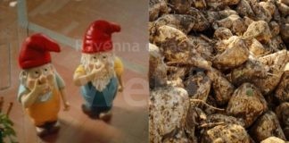 Ravenna in Comune: Memoria e coerenza di Fusignani