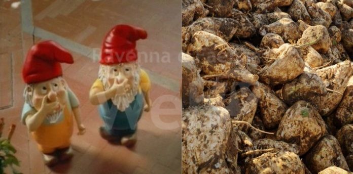 IMG_20231011_084201_153