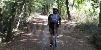 Incidente in pineta. Muore ciclista 54enne