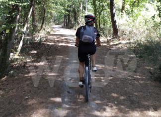 Incidente in pineta. Muore ciclista 54enne