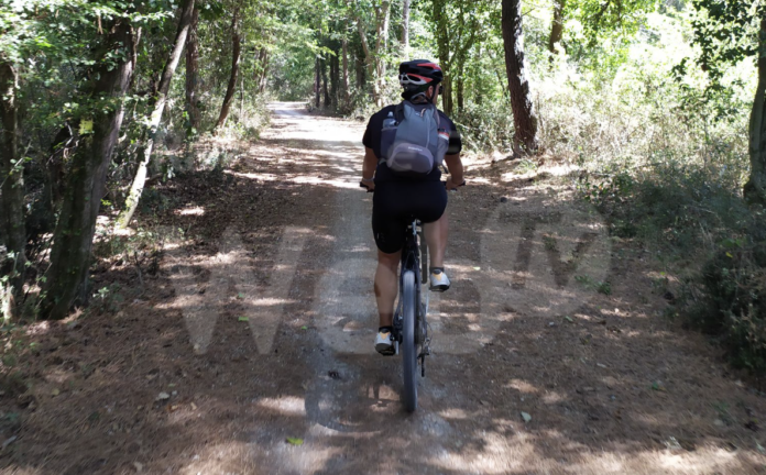 Schermata 2023-10-09 alle 12.42.27