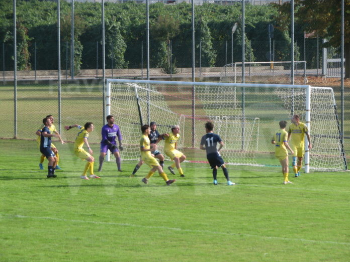 azione area cotignola