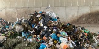 Ancisi (LpRa): Mezza Darsena per quattro mesi senza raccolta di sfacci e ramaglie