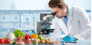 Randstad forma 40 tecnici industriali a Faenza e Parma, al via l’IFTS “Materiali Compositi” e Agroalimentare