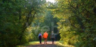 Over 65 in movimento: il Csi Ravenna lancia un corso di formazione per operatori sportivi per la terza età