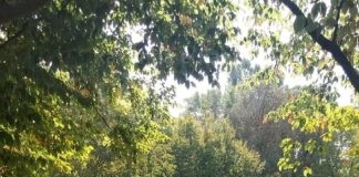 Presentato il progetto complessivo di riqualificazione del Parco della Montagna, della piastra polivalente in via Bach e dell’area ex Tamburello