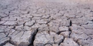 Romagna: 30 gradi a ottobre, le coop agricole avviano le irrigazioni