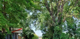 Post alluvione, Bagnacavallo: finanziati lavori per oltre 4 milioni di euro per la viabilità