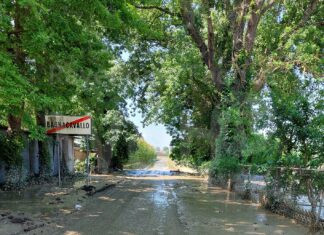 Post alluvione, Bagnacavallo: finanziati lavori per oltre 4 milioni di euro per la viabilità