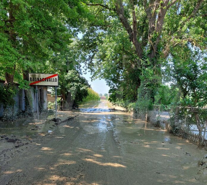 23-05-2023 -Carraia Guerrini