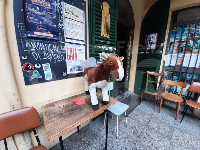 337688963_229811246237059_8302165707603582013_n