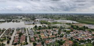 Alluvione in Romagna un anno dopo: Agronomi e Forestali ancora poco coinvolti nella cura del territorio e del paesaggio