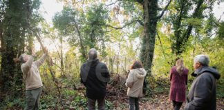 A Casola Valsenio tutto pronto per la Festa degli Alberi