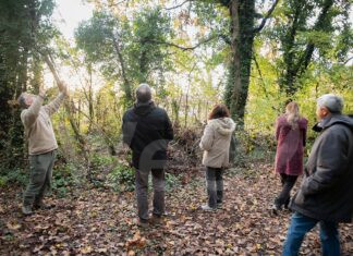 A Casola Valsenio tutto pronto per la Festa degli Alberi