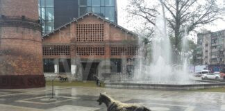 Emilia-Romagna terza regione italiana per export con la Cina