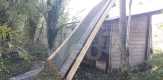 Ferrero (FdI): Danno ambientale ed economico all’oasi Mezzano