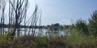 Domani la passeggiata di ViVi il Verde nell’area delle Buche Gattelli