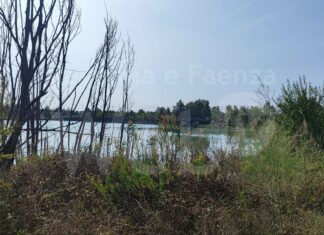 Domani la passeggiata di ViVi il Verde nell’area delle Buche Gattelli
