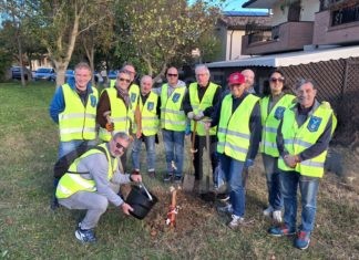Lions Club Ravenna Romagna Padusa: 10 nuovi alberi simbolo della rinascita della Romagna