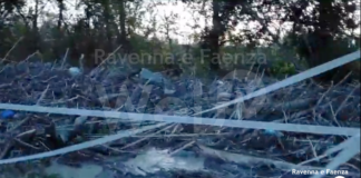 Le piene hanno trasportato a valle i tronchi accumulati lungo fiumi e torrenti: rischio dighe