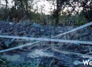 Le piene hanno trasportato a valle i tronchi accumulati lungo fiumi e torrenti: rischio dighe