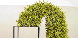 Finissage della mostra del 62° Premio Faenza. A Sara Cancellieri il Premio del Pubblico Franco Fabbri