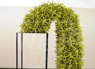 Finissage della mostra del 62° Premio Faenza. A Sara Cancellieri il Premio del Pubblico Franco Fabbri