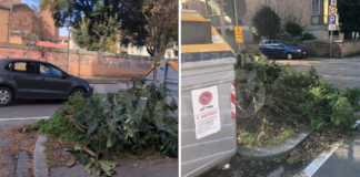 Ancisi (LpRa): Sfalci e ramaglie allo sbando nel quartiere Darsena