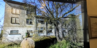 Ortazzo-Ortazzino: nuove rivelazioni de La Pigna