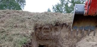 Coldiretti: Istrice e animali fossori, serve piano di controllo urgente per garantire sicurezza fiumi