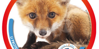 Enpa: Perché incolpare gli animali?