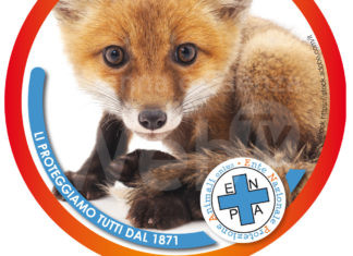 Enpa: Perché incolpare gli animali?