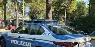 Nello zaino di un crocierista spunta una pistola semiautomatica