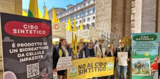 Carne artificiale, Coldiretti: “Coltivate ignoranza” è provocazione. I cartelli sono offesa agli agricoltori