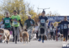Dogs & Run: con la partenza della maratonina a 6 zampe, inizia il week-end di Maratone