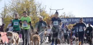 Dogs & Run: con la partenza della maratonina a 6 zampe, inizia il week-end di Maratone