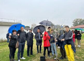 Cervia: Movimento Donne Impresa Confartigianato dona alberi piantati nel parco della Casa del Volontariato