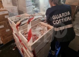 La Guardia Costiera dell’Emilia-Romagna irroga oltre 46000,00 € di sanzioni e sequestra ben oltre 1300 kg di prodotti ittici