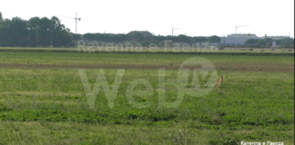 Approvata la nuova urbanizzazione di viale Europa, ma è scontro in consiglio comunale