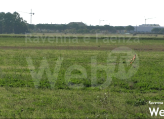 Approvata la nuova urbanizzazione di viale Europa, ma è scontro in consiglio comunale