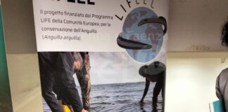 Italia Nostra: “Specie in via di estinzione: il Parco del Delta del Po ne promuove la vendita?”