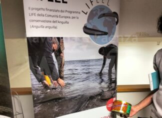 Italia Nostra: “Specie in via di estinzione: il Parco del Delta del Po ne promuove la vendita?”