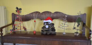 Alla scuola primaria R. Ricci sono cresciuti 200 alberi del cuore che ora aspettano solo di trovare una nuova casa